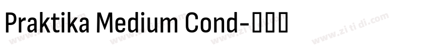Praktika Medium Cond字体转换